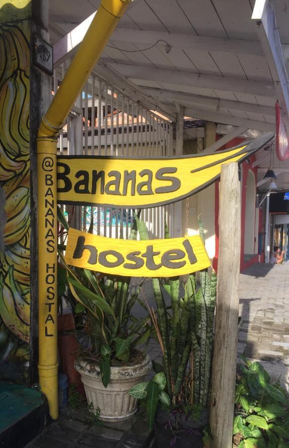 Bananas Hostel Итакаре Экстерьер фото